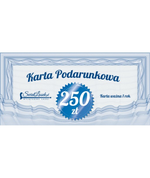 Karta podarunkowa 250 zł